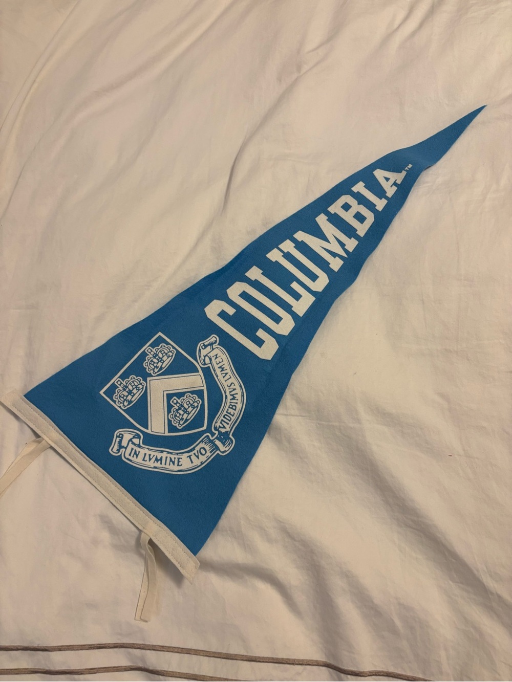 Columbia Blue Triangular Pennant with White Crest